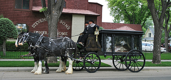 Our 2 horse-hitch hearse with glass-walled hearse carriage.